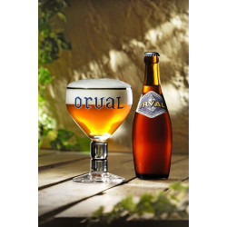 Orval glas 33cl